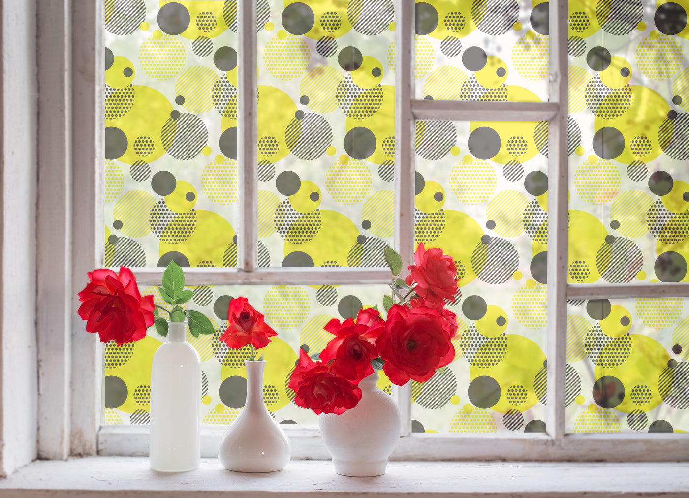 Citrus Pop Window Film