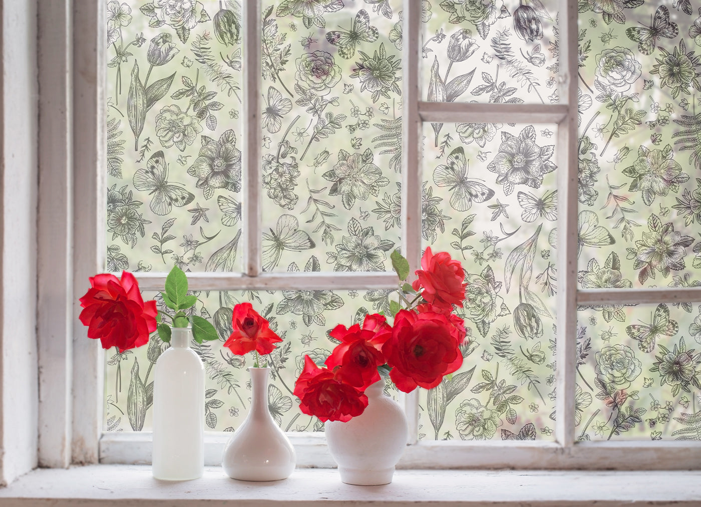 The Naturalist's Journal Window Film